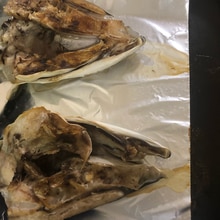 ぶりの頭の塩焼き オーブンでつくる レシピ 作り方 By まぼまぼまん 楽天レシピ ぶりの頭の塩焼き オーブンでつくる レシピ 作り方 By まぼまぼまん 楽天レシピ